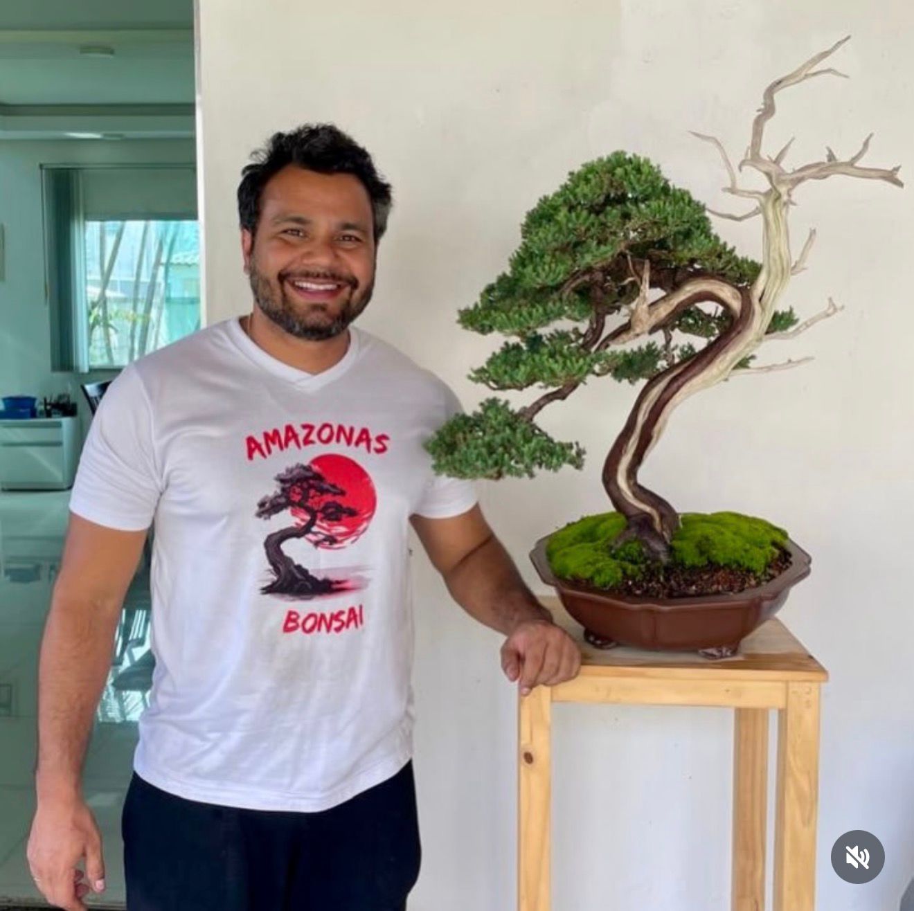 Bonsai com curador Amazon Bonsai